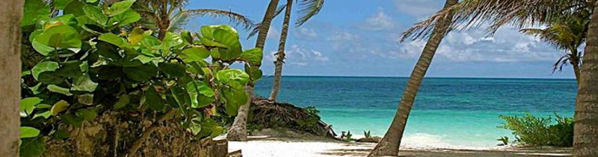 CW Group - Cancun Beaches